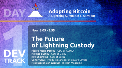 The Future of Lightning Custody