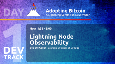 Lightning Node Observability 