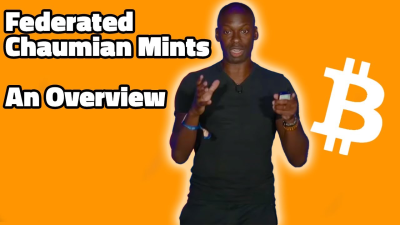 Federated Chaumian Mints Overview