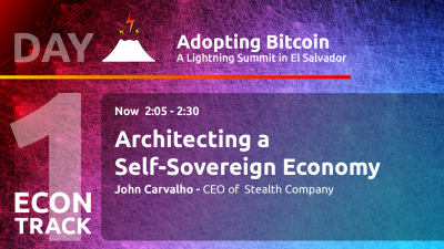 Architecting a Self-Sovereign Economy with Synonym