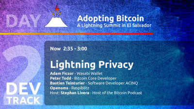 Lightning Privacy