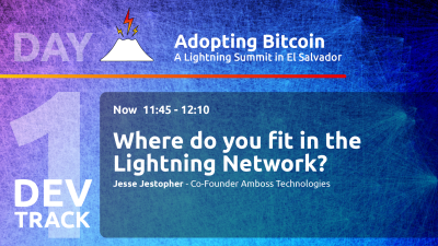 Where do you fit in the Lightning Network?